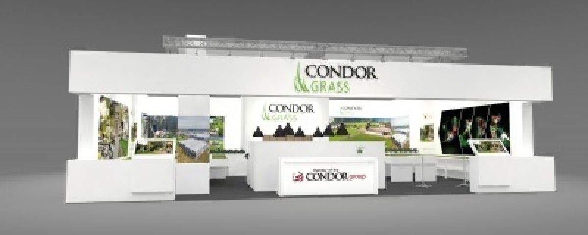 Condor Group