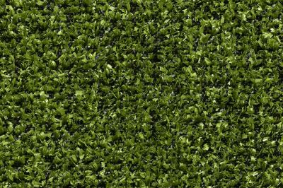 Artificial Grass