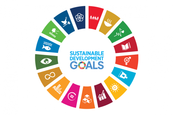 VEBE Sustainable Development Goals